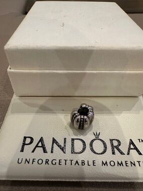 Pandora Silver spacer Charm